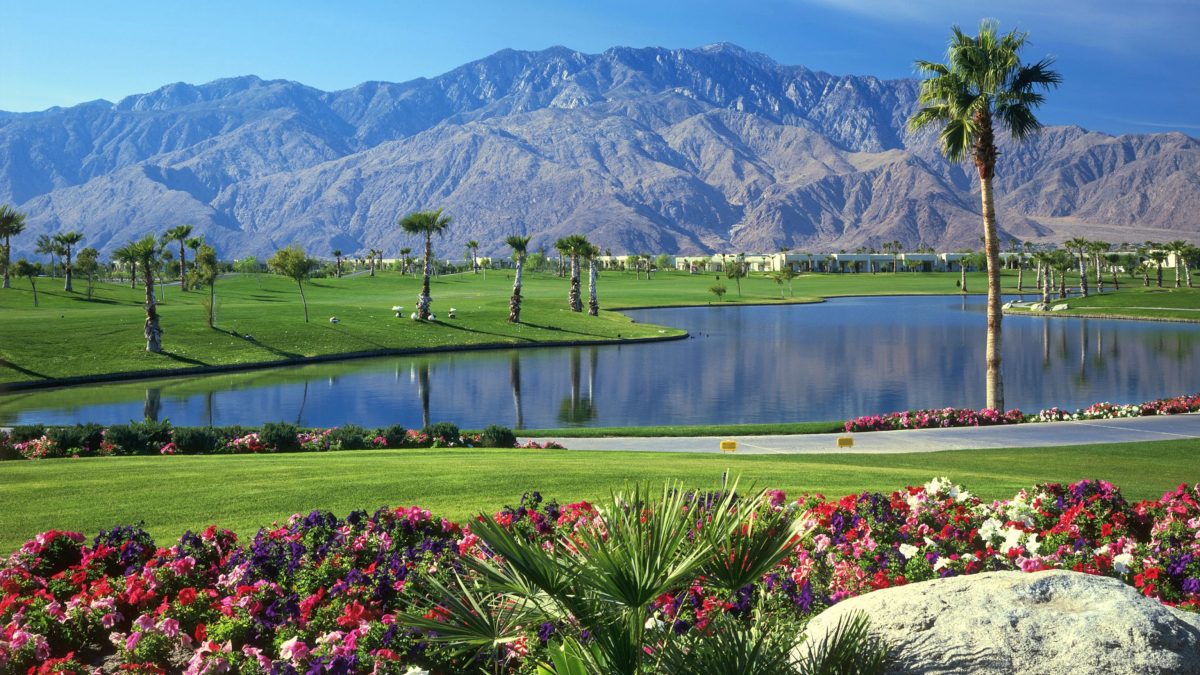 What Is Palm Springs Best Known For?