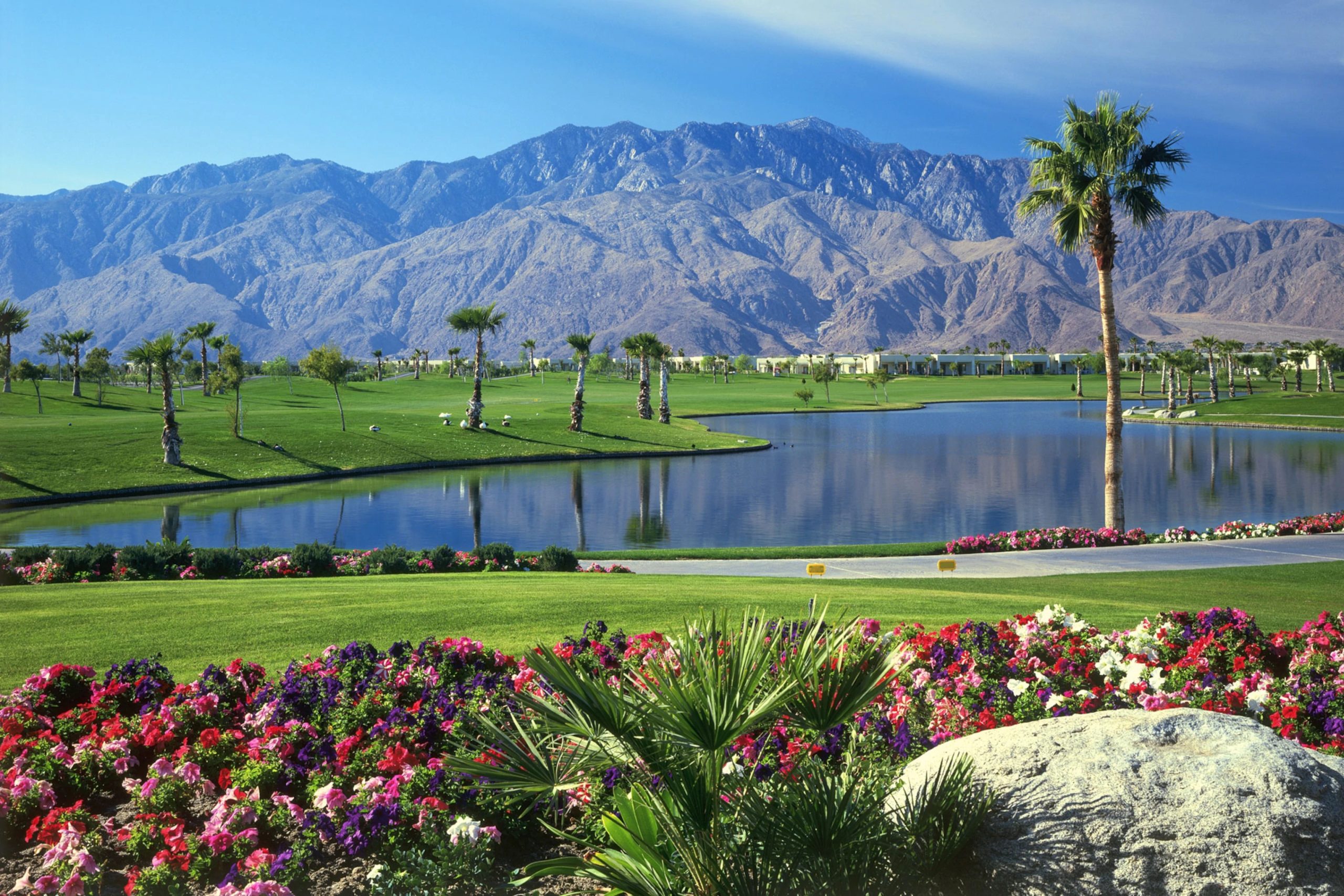 What Is Palm Springs Best Known For